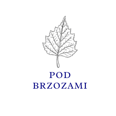 Twoje Gąsiorowo - domek Pod Brzozami